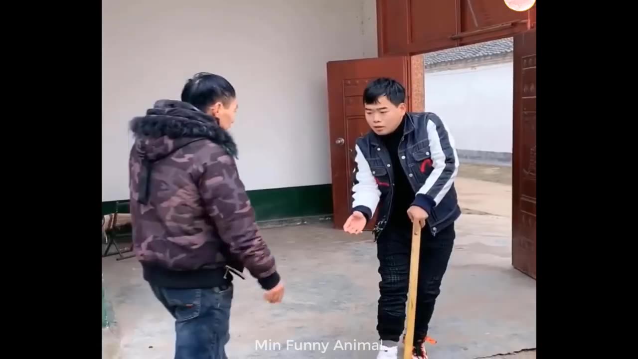 Funniest Animals | Funny Dog And Cat | Funny Animals Video #4