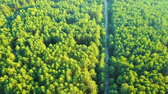 Flying Over Japan Relaxing Music And Beautiful Nature Videos