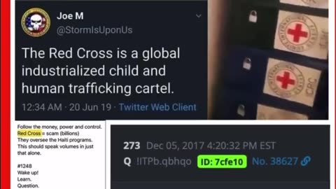 Who is the RED CROSS and what do they actually do!?