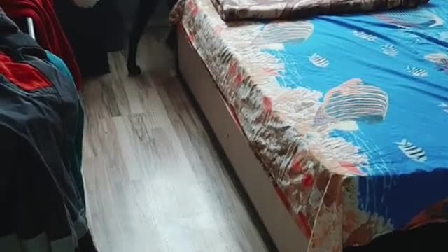 👋👋👋