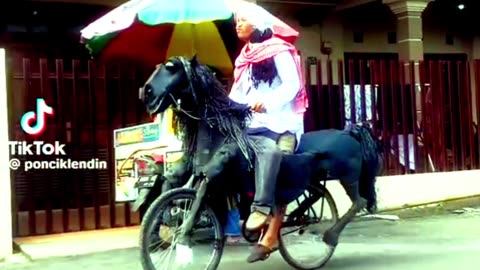Funny video rumble |