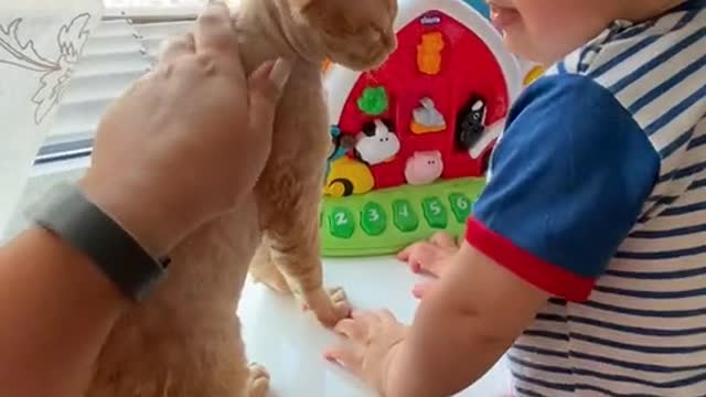 Baby plays With Cat