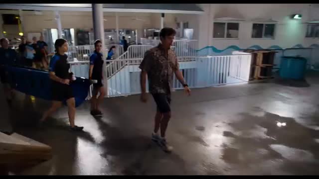 Dolphin Tale 2 - Official Main Trailer [HD]_Cut