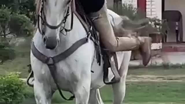 Horse training 🐎🐎🐎🐴🐴🐴