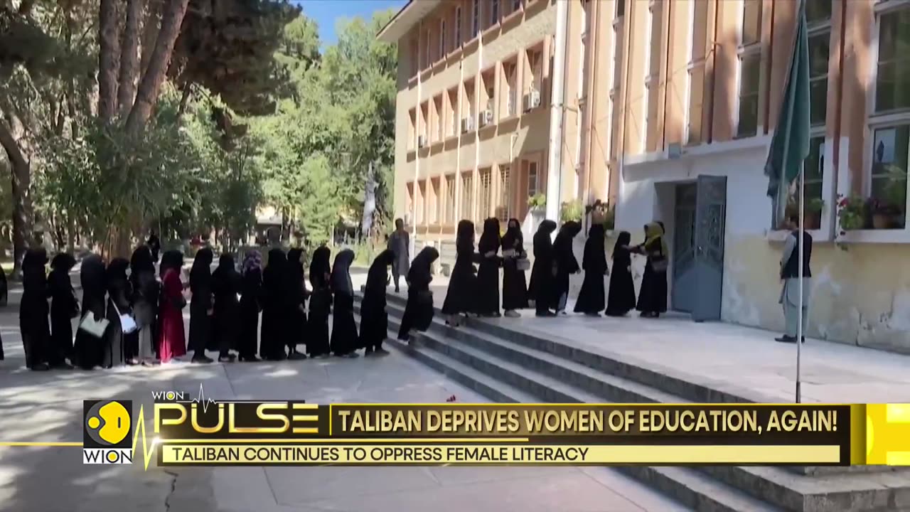 Afghan colleges reopen, only men allowed! - Taliban - WION Pulse - Latest English News