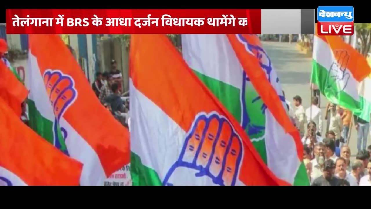 din bhar ki khabar | news of the day, hindi news india |top news | Rahul Bharat jodo yatra #dblive