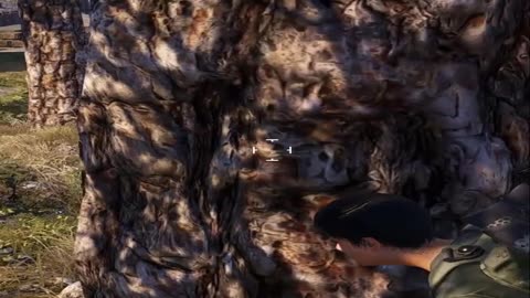 Tom Clancy Ghost Recon Wildlands Shorts