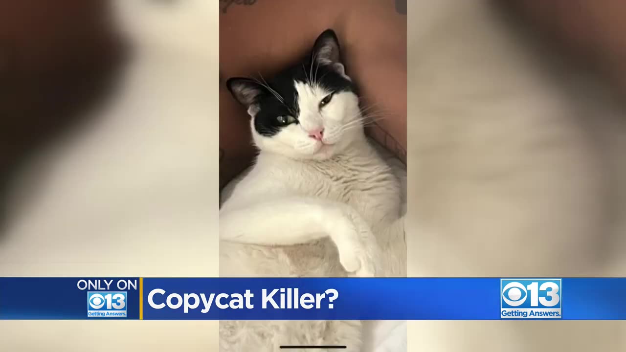 Copycat killer