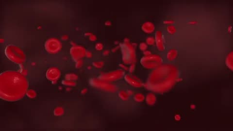 Blood cell Blood Pressure