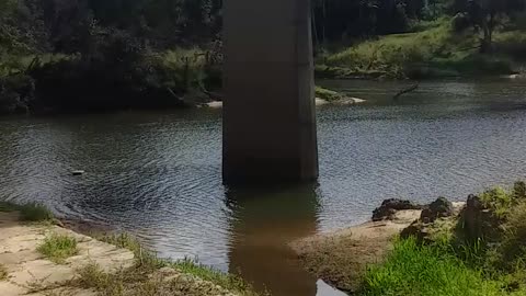 7.8.2024 The Barron River, Kuranda