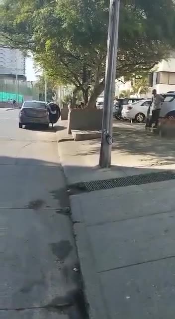 Vehículo es sorprendido haciendo de colectivo