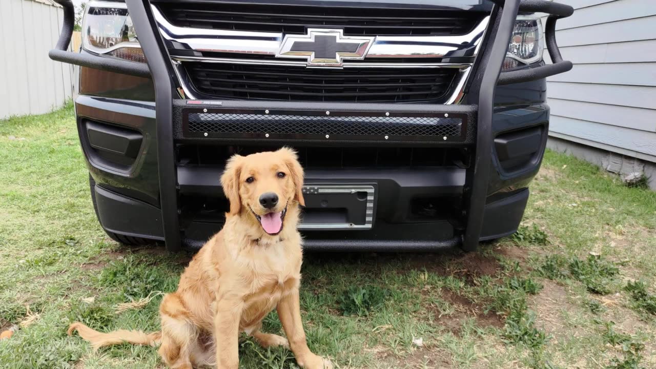 Installing ARIES PRO SERIES GRILLE GUARD on Chevrolet Colorado/Canyon