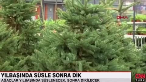 CNN TÜRK _ YILBAŞINDA SÜSLE SONRA AĞAÇLARI DOĞAYLA BULUŞTUR