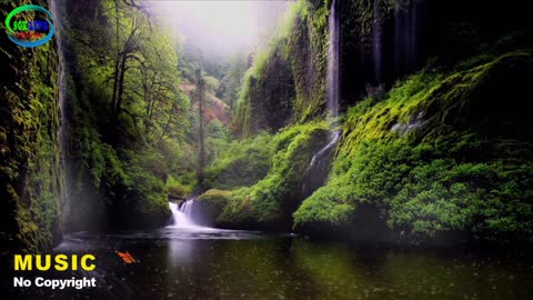 Relaxing Music | Sleeping, Meditation, Stress Relief | [1839] ⭐️