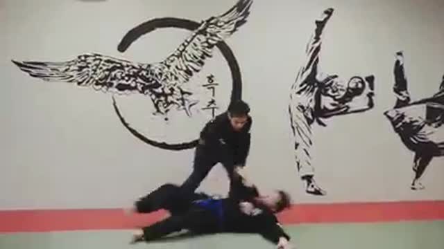 Hapkido