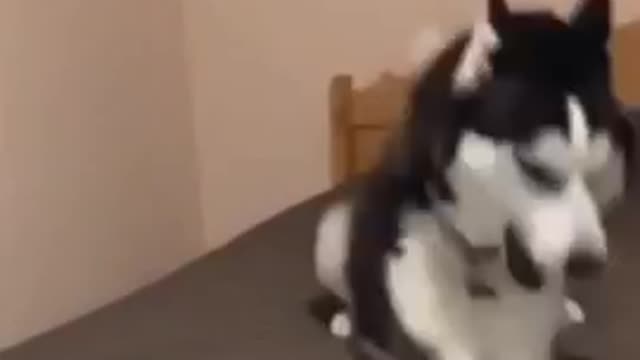 This is so hilarious!