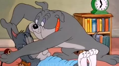 том и джерри