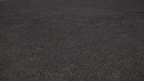 7231USCG00EastFrontHouseEgg_2021-01-05_19h22min57s613ms.mp4