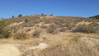 Colorado gold rush of 1859 Central City and Black Hawk