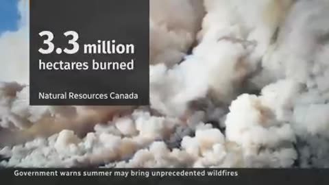 Canada fire on Forest