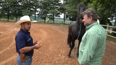 FRIESIAN, UM CAVALO QUE QUASE FOI EXTINTO! | RICHARD RASMUSSEN