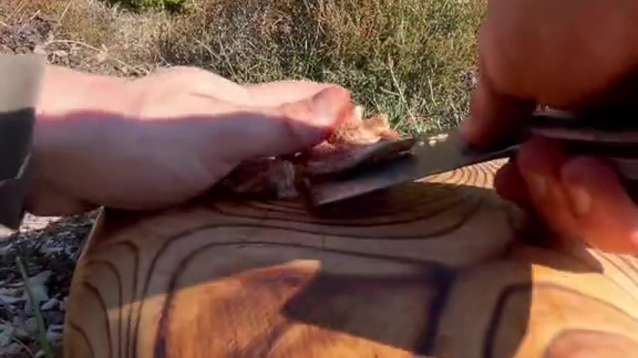 Natural Canelica mushrooms on wood stove