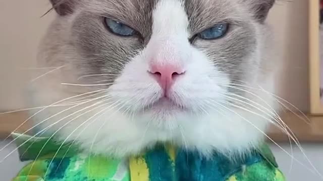 Best trick for your breakfast ~