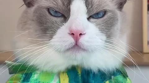 Best trick for your breakfast ~