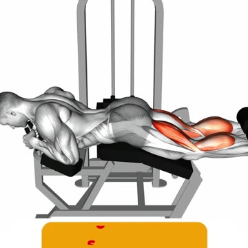 Power Up Your Legs🦵 #legexercises #fitnessgoals #strengthtraining #sculptedlegs #shorts #shortvideo