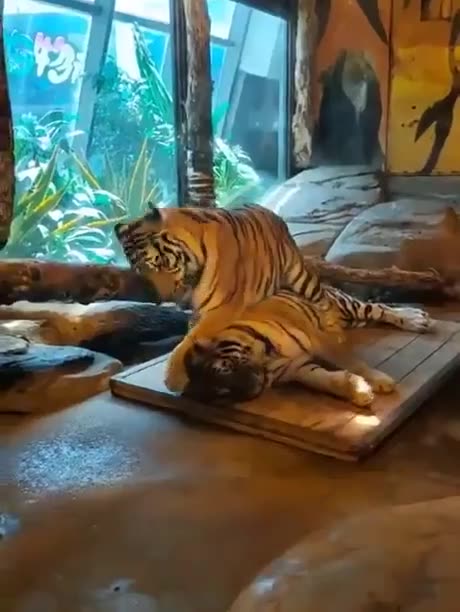 That's my side of bed 😅