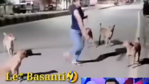 Basanti in kutto ke samne mat nachna ll Best comedy dance with dog ll