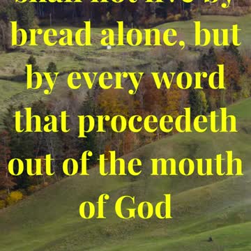 Man shall not live by bread alone, but by every word that proceedeth out of the mouth of God