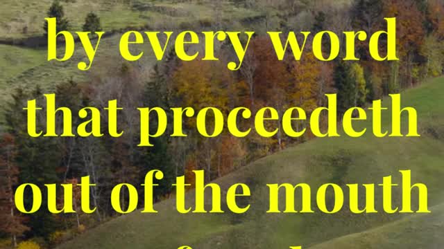 Man shall not live by bread alone, but by every word that proceedeth out of the mouth of God