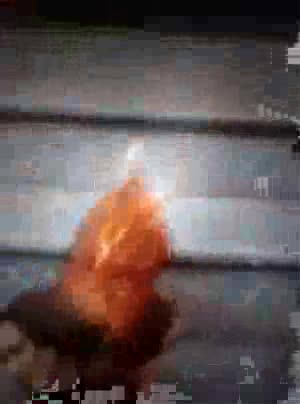 CHICKEN HEAD KAMALA 😂🤣🤣🤣 #TRUMP24