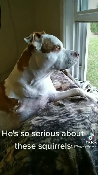 Deep Thoughts With Saint