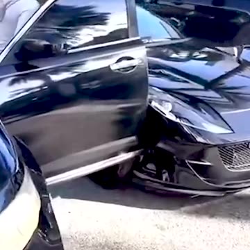 Big Fails Funny Video