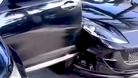 Big Fails Funny Video