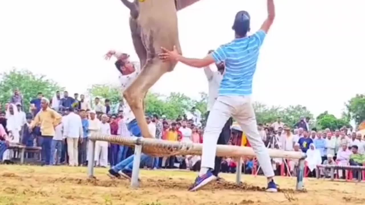 Never miss this video