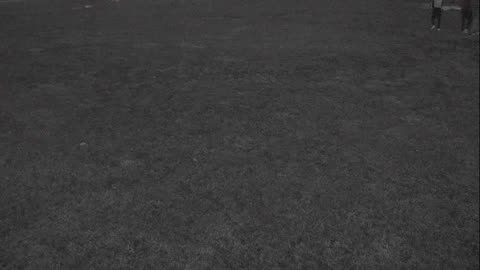 7231USCG00EastFrontHouseEgg_2021-01-05_17h47min18s487ms.mp4