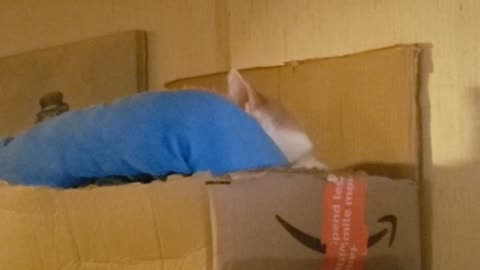 Sweeeepy Sleeeeeep part 2