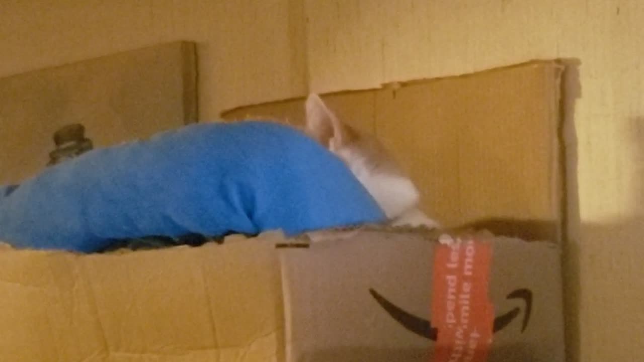 Sweeeepy Sleeeeeep part 2