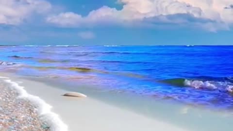The sea