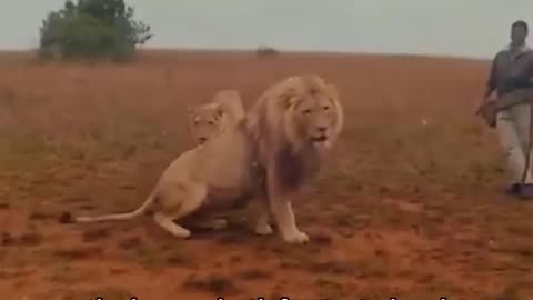 NO FEAR
