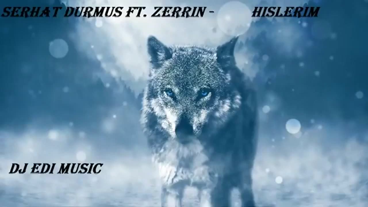 English Bass Boosted Song Lyrics