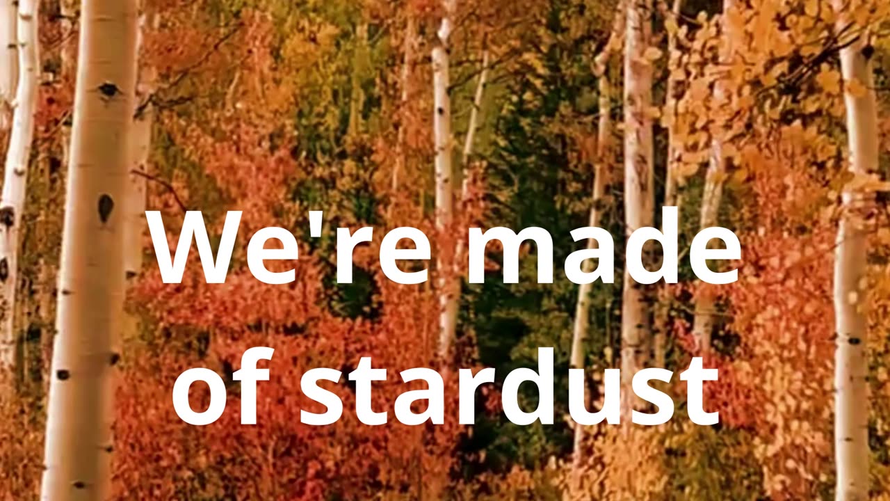 We're made of sturdust