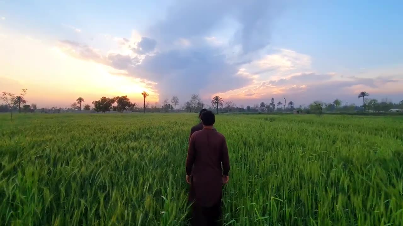 Punjab Village Daily Life • Old BEAUTIFUL Village In Pakistan