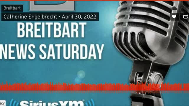Breitbart Radio Interview of Catherine Engelbrecht