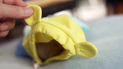 Peekaboo! Find Me Inside Our New Rolly Products