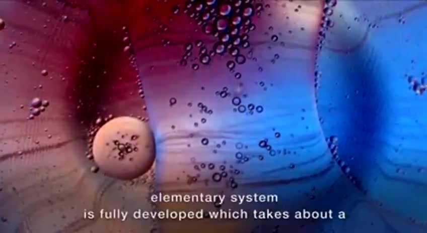 up to you to look Information