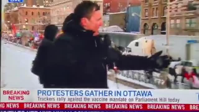 Evan Solomon from Fake News CTV